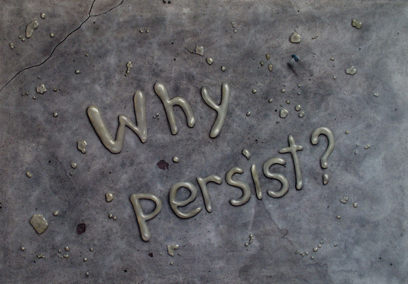why persist?
