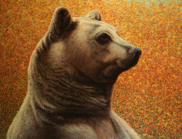 Portrait of a Bear