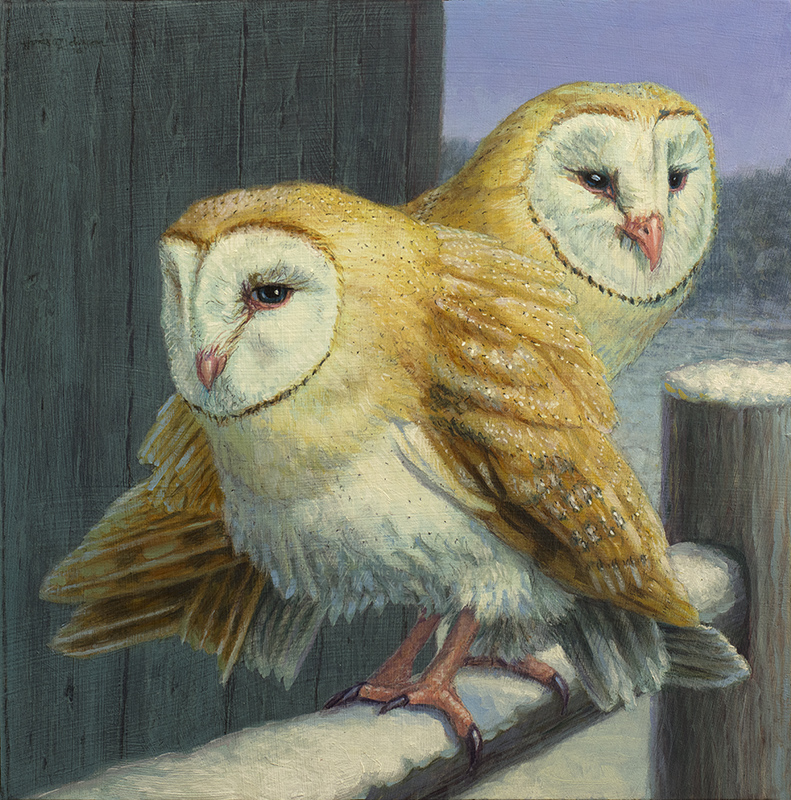 "Barn Owl Couple"