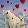 Polar Berries