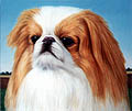 "Dog-Nature" and some cat paintings, 1998-2001